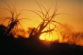 /album/galeria-de-fotos/a53-jpg1/