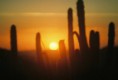 /album/galeria-de-fotos/a16-jpg1/