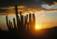 /album/galeria-de-fotos/a18-jpg1/