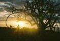 /album/galeria-de-fotos/a20-jpg1/